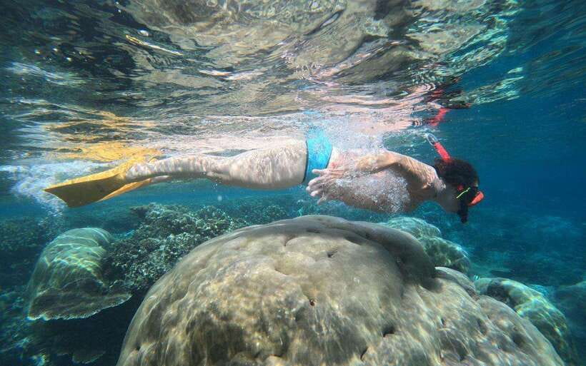 Bali: Nusa Penida: Snorkeling, West trip, lunch & speed boat - The pace, comfort, and practical demands