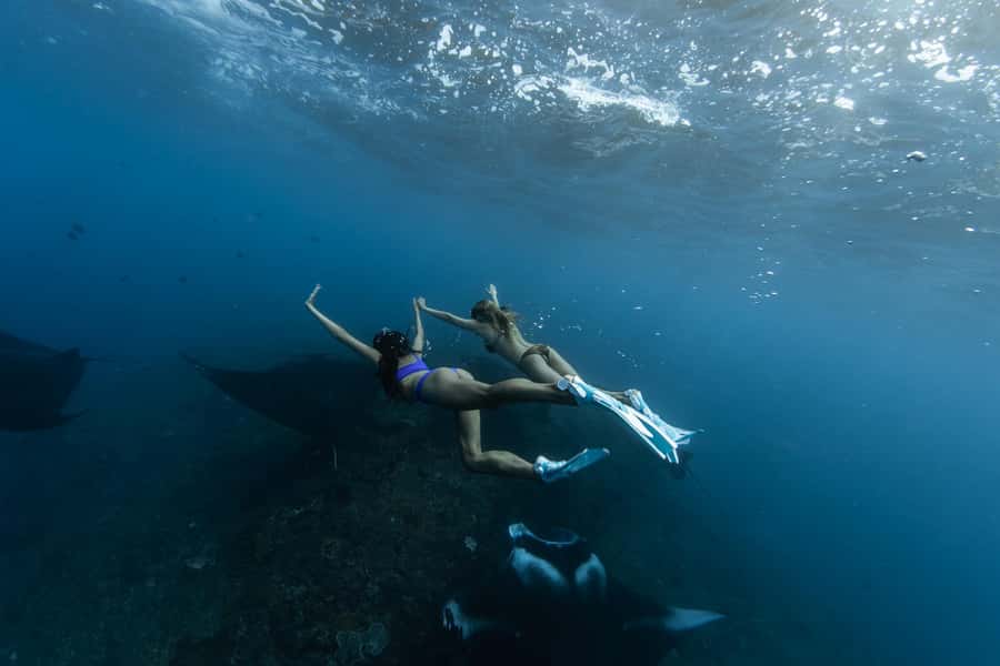 Bali: Nusa Penida Speedboat Trip with Snorkeling and Tour - Starting at Serangan with coffee and a fast boat