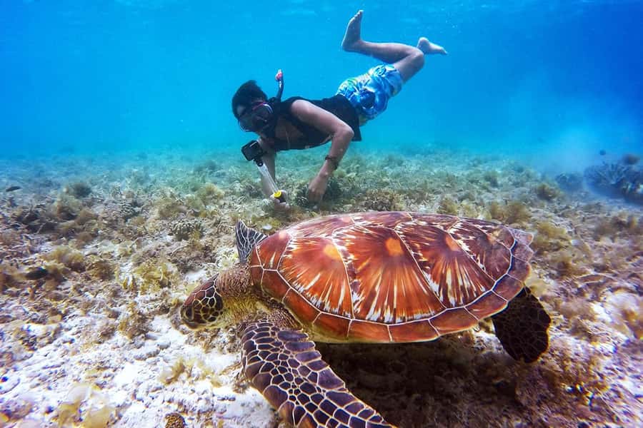 Bali: Nusa Penida Speedboat Trip with Snorkeling and Tour - Lunch at Amarta Penida and the short land tour