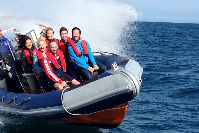 Barcelona Speedboat Coastline Tour - Leaving From Marina Port Vell
