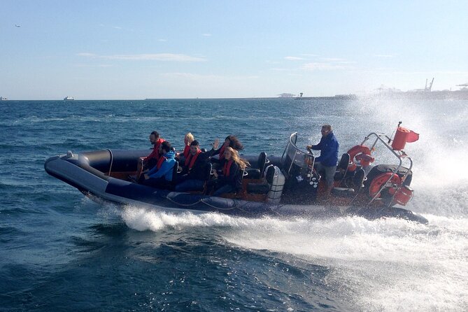 Barcelona Speedboat Coastline Tour - What the Small Group Adds