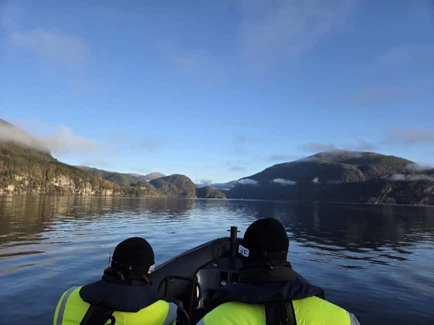 Bergen: Mostraumen Fjord Safari - by Premium RIB Boat - Practical tips for a better outing