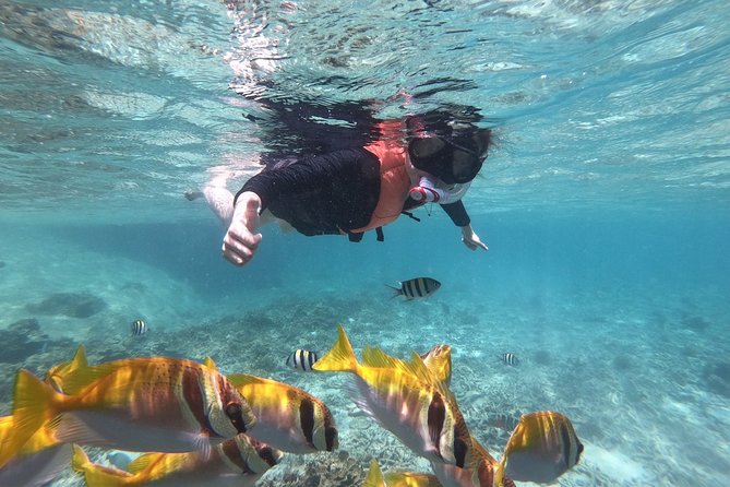 Beyond Angthong 42 Islands Premium Service Trip By Speedboat From Koh Samui - Key points to know before booking