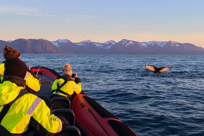Big Whales & Puffins RIB boat tour from Húsavík - Staying warm and steady on the water