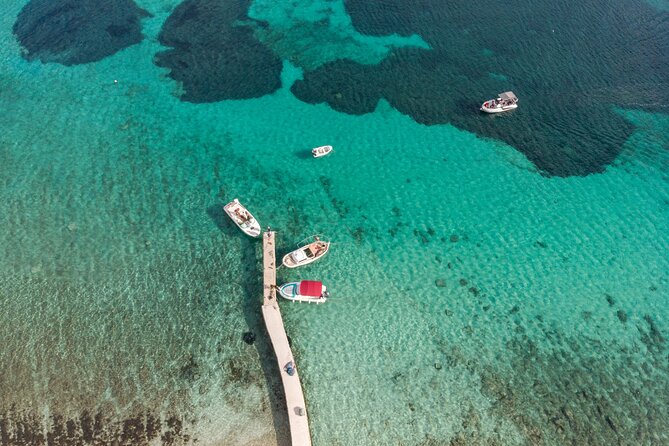 Blue Lagoon and Šolta Island Private Speedboat Tour - Maslinica: coffee, pine trees, and a short walk