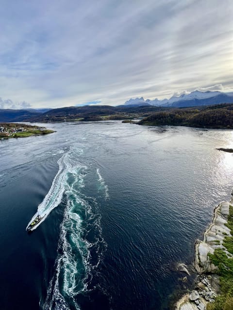 Bodø: Saltstraumen RIB Safari - The RIB ride and what the two hours feel like