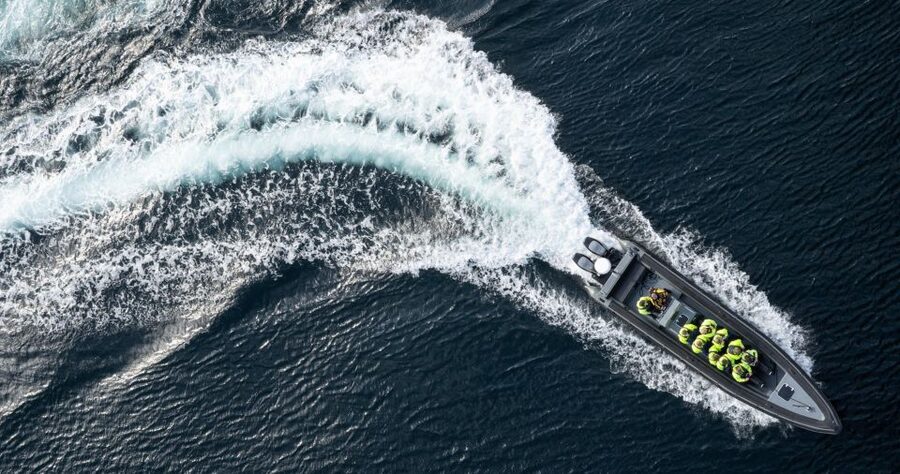 Bodø: Saltstraumen Sea Eagle Trip by RIB - Key points at a glance