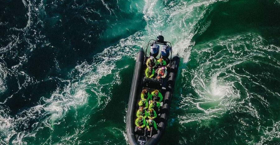 Bodø: Saltstraumen Sea Eagle Trip by RIB - Why the eagles make this Bodø trip special