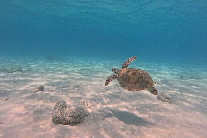 BVI Daytrip on private powerboat with snorkeling - A private BVI boat day from Road Town