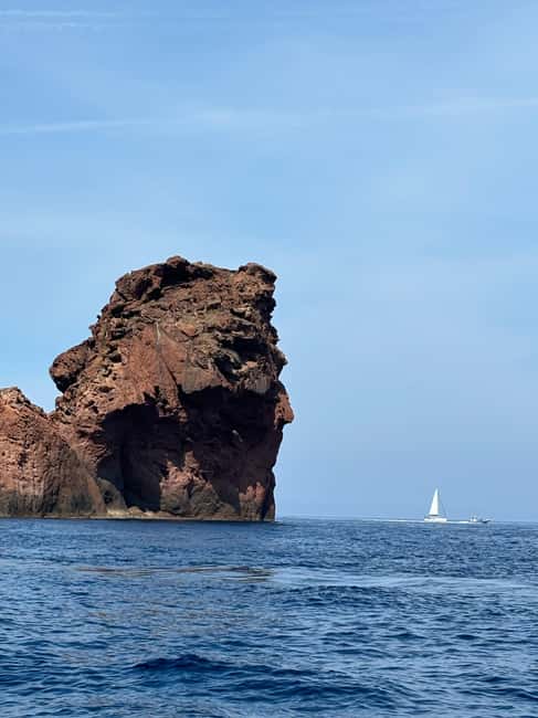 Calvi: Guided speedboat tour to Scandola - What the 1 hour 30 minute reserve visit feels like