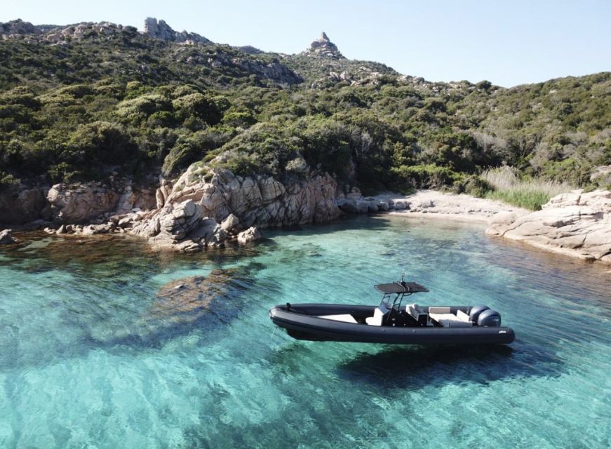 Calvi: Private Speedboat Tour to Wild Beaches with Aperitif - Leaving Calvi port beneath the citadel