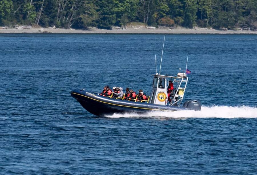 Campbell River: 6 Hour Zodiac Whale Watching Tour w/ Lunch - Listening below the surface with a hydrophone