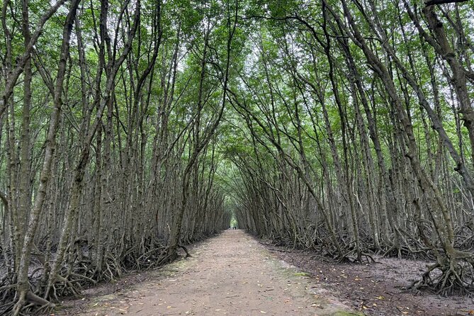 Can Gio Mangrove Adventure: Speedboat with Monkey Island - Vietnamese lunch and a slower afternoon