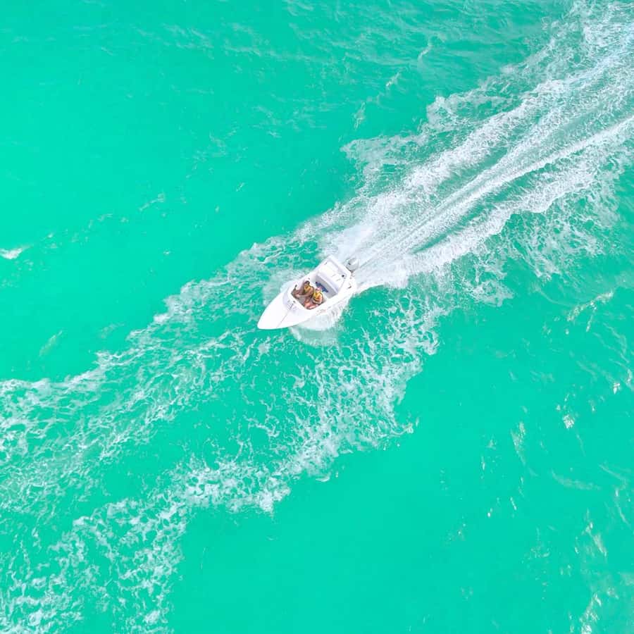 Cancun: Jungle Speedboat and Snorkeling Tour Adventure - What the $65 price really covers