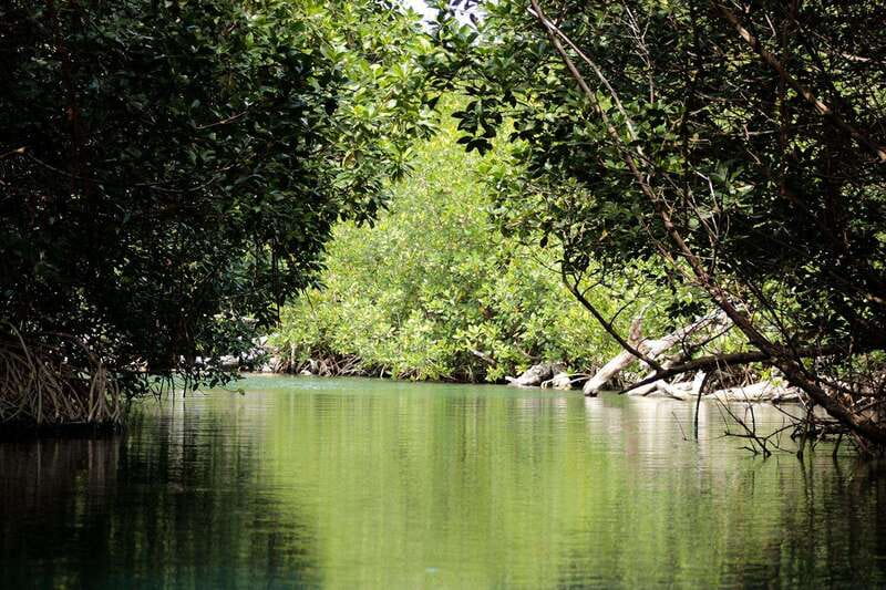 Cancun: Jungle Tour Adventure with Speedboat and Snorkeling. - Who will enjoy this outing most