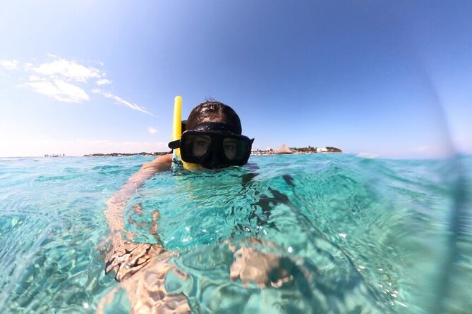 Cancun Jungle Tour with Speedboat and Snorkeling - Why this two-hour Cancun tour works well