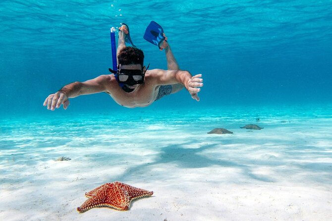Cancun Jungle Tour with Speedboat and Snorkeling - What the $59 price really means
