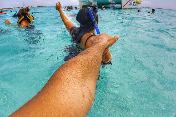 Cancun Jungle Tour with Speedboat and Snorkeling - Timing, transport, and the return to the marina