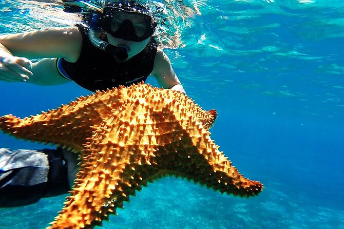 Cancun Jungle Tour with Speedboat and Snorkeling - Practical packing and preparation advice