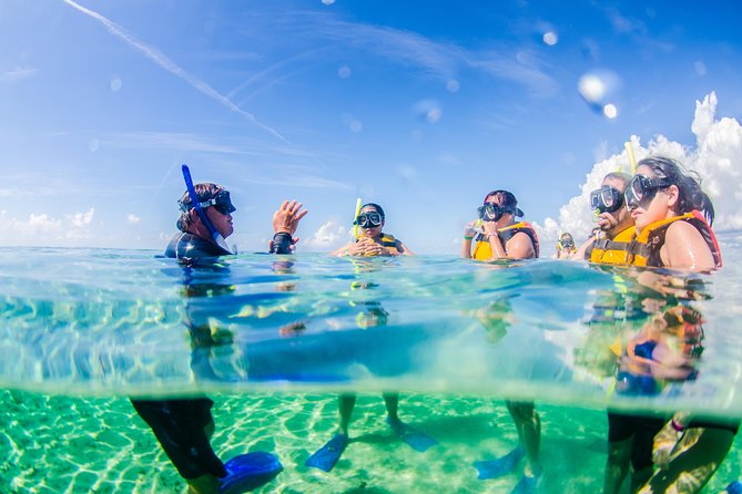 Cancun speedboat and snorkel tour: shared speedboat - Snorkeling at Punta Nizuc and the underwater statues