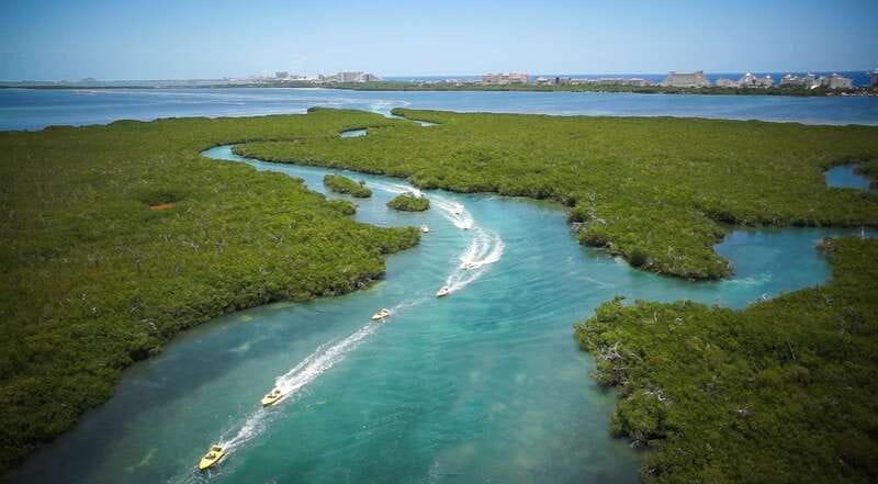 Cancun: Speedboat Mangrove Jungle & Snorkel Tour - Is the snorkeling good for beginners?