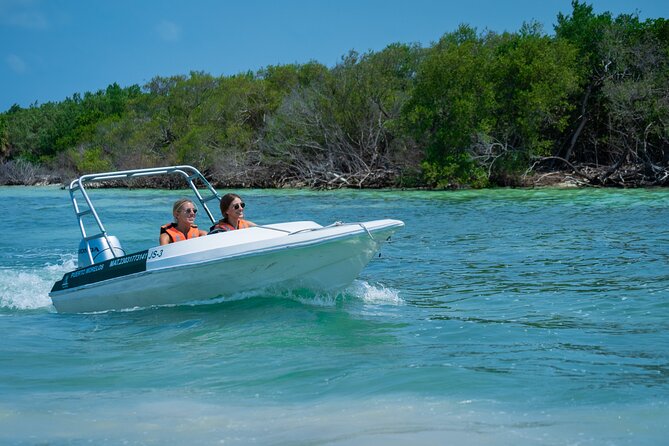 Cancun: Speedboat tour to a Virgin Beach - Should you book the Cancun speedboat to Isla Blanca?