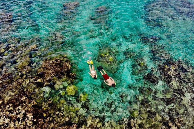 Captain Bob Speed Boat, Snorkeling, Beach Tour & Lunch St Maarten - Why this boat tour covers St. Maarten so well