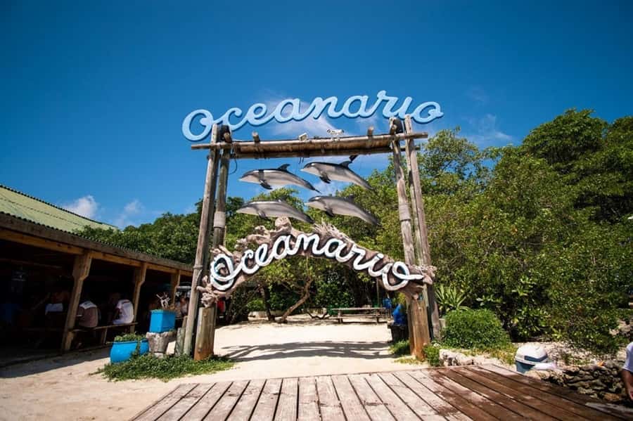 Cartagena: All-Inclusive Rosario Islands Speedboat Tour - Choosing between the Rosario oceanarium and snorkeling