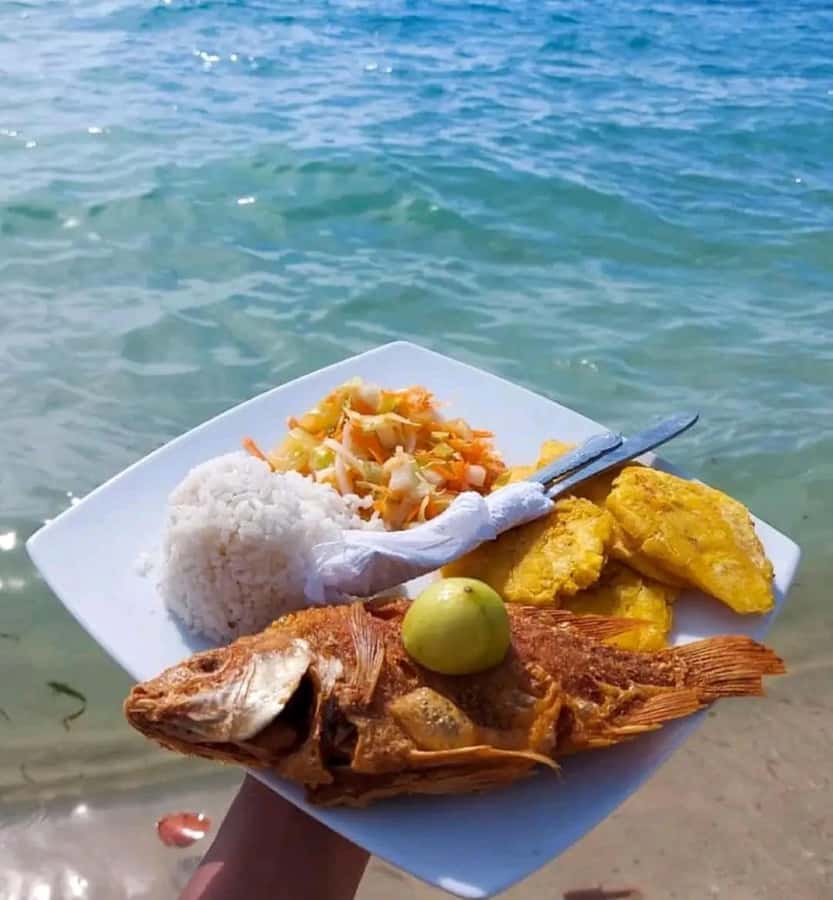 Cartagena: Playa Blanca BARU by speedboat with lunch - The speedboat ride and Bocachica views