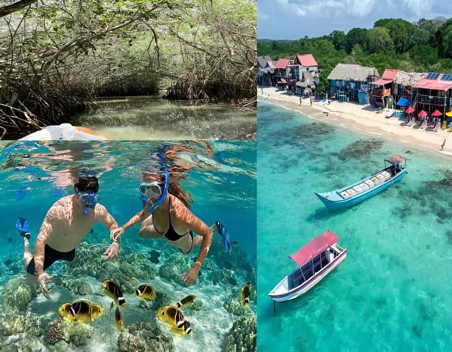 Cartagena: Visit 4 islands in a speedboat + plankton! - Seeing the Rosario Islands from the water