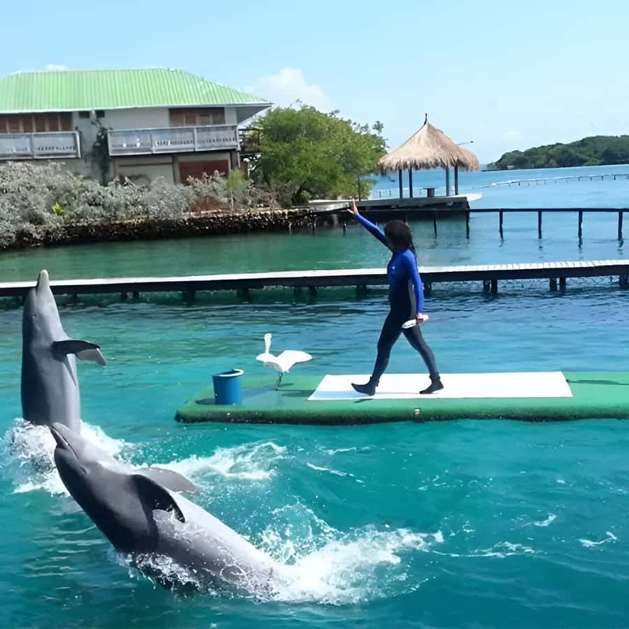Cartagena: Visit 4 islands in a speedboat + plankton! - Playa Blanca and the Barú sunset