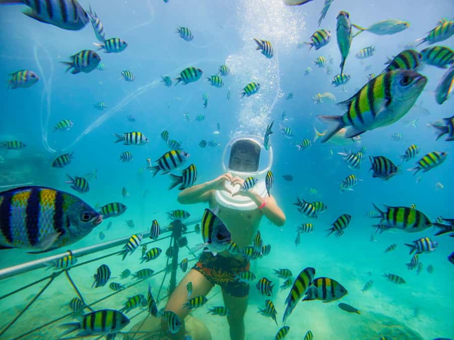 Chalong: Kahung Beach Day Trip by Speedboat & Lunch - Who this trip suits best