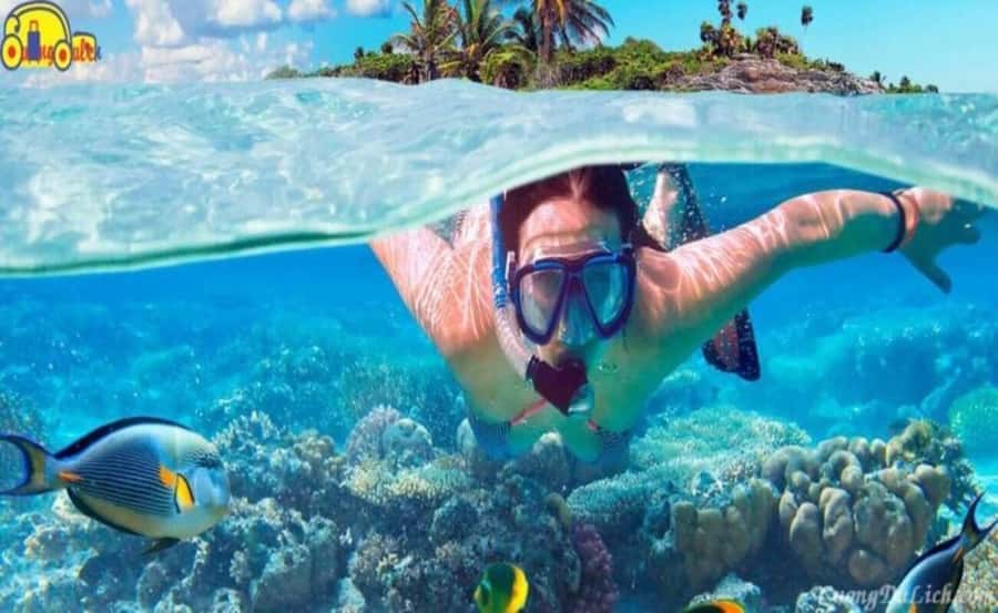 Cham Island: 1-Day Speedboat Trip with Snorkeling and Lunch - How much value do you get for $33?