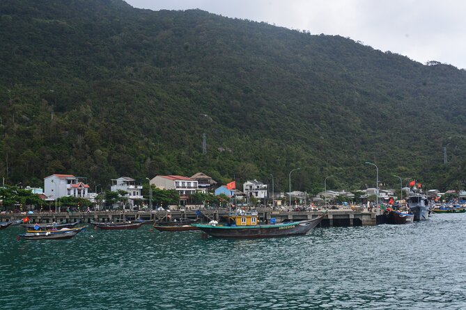 Cham Island Day Tour: Speed Boat, Lunch, Snorkeling & Beach - What the $40 price really covers