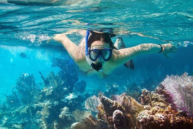 Cham Island Tour Snorkeling -Sunbathing - Nice Beach - Speedboat - From Hoi An hotel to Cua Dai Harbor