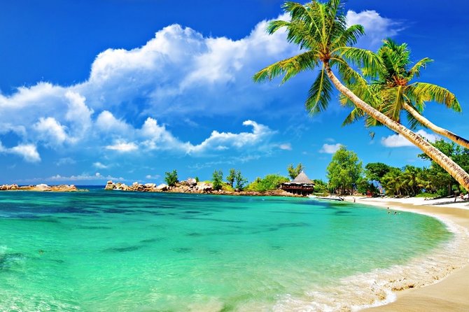 Cham Island Trip by Speed Boat including Snorkeling from Hoi An or Da Nang - Forty-five minutes of snorkeling