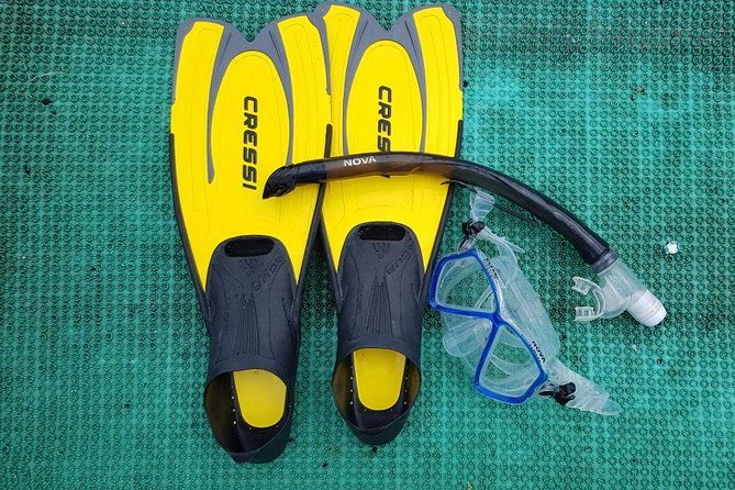 Cham Islands Snorkeling Tour by SpeedBoat from Da Nang - Snorkeling in Cu Lao Cham Marine Park
