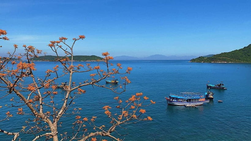 Cham Islands Snorkeling Tour by Speedboat : Hoi An/Da Nang - What this Cham Island day actually feels like