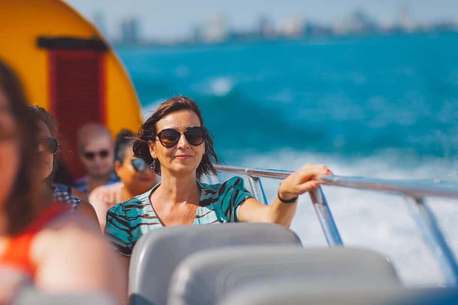 City Cruises Chicago: Seadog Lakefront Speedboat Ride - Willis Tower and the downtown skyline
