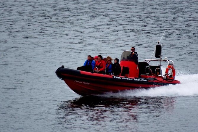 Cork Harbour RIB Tour - Leaving Cobh for the open harbour