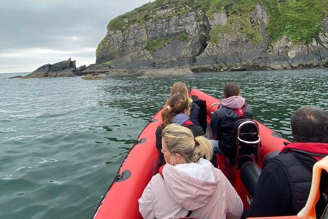 Cork Harbour RIB Tour - A chance of dolphins and other sea life