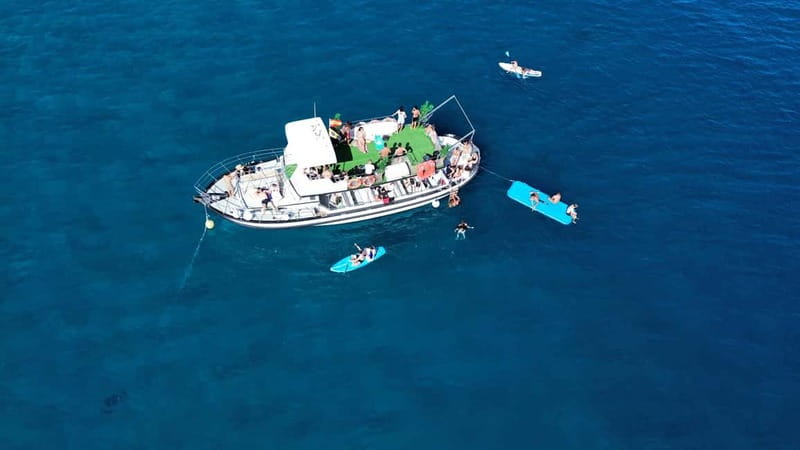 Costa Calma: Fuerteventura Dolphin Watching Zodiac Boat Tour - Wildlife beyond dolphins