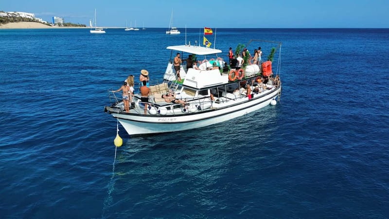 Costa Calma: Fuerteventura Dolphin Watching Zodiac Boat Tour - What the speed adds to the experience