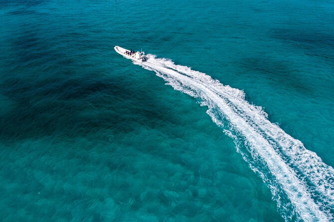 Cozumel Starfish and Tropical Reef Snorkeling by Powerboat with Lunch - A fast ride from Cancun to Cozumel’s reefs