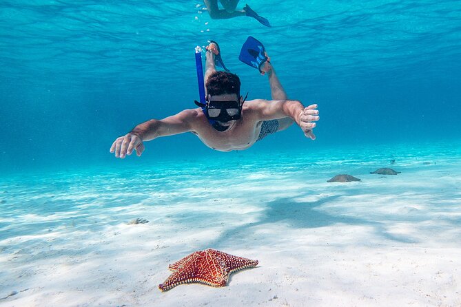Cozumel Starfish and Tropical Reef Snorkeling by Powerboat with Lunch - Three snorkel stops, with different depths and sea life