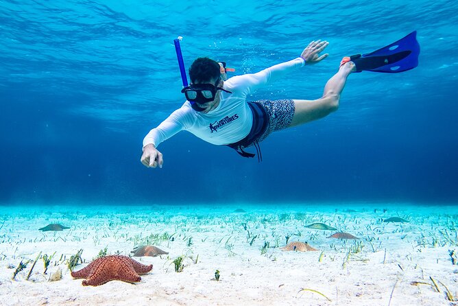 Cozumel Starfish and Tropical Reef Snorkeling by Powerboat with Lunch - El Cielo is the calm, memorable stop