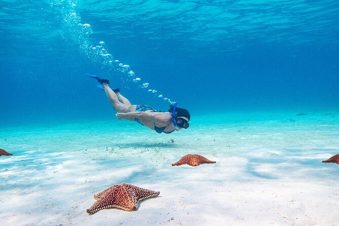 Cozumel Starfish and Tropical Reef Snorkeling by Powerboat with Lunch - Equipment is included, but fitness still counts