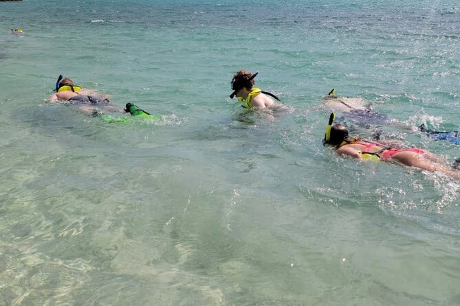 Cristal Speed boat, Snorkeling, Beach Tour & Lunch St Maarten - One boat ride, four sides of St Maarten