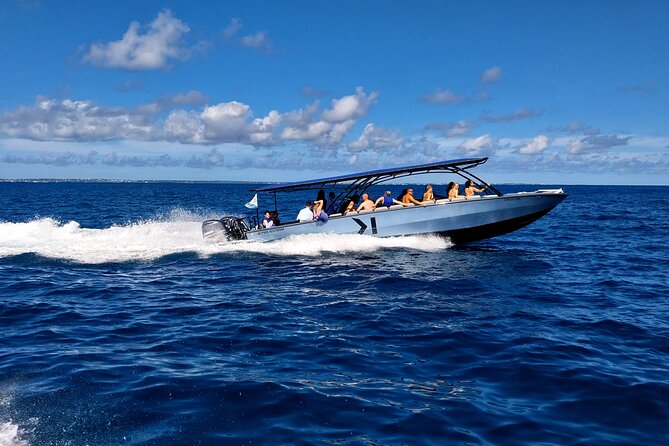 Cristal Speed boat, Snorkeling, Beach Tour & Lunch St Maarten - Creole Rock brings the first reef experience