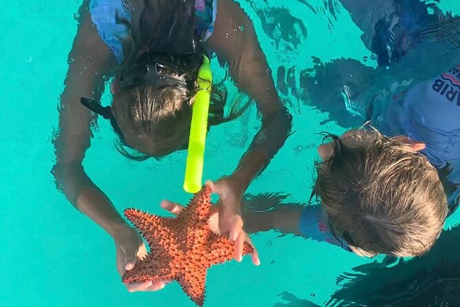 Cristal Speed boat, Snorkeling, Beach Tour & Lunch St Maarten - The speedboat ride sets the tone